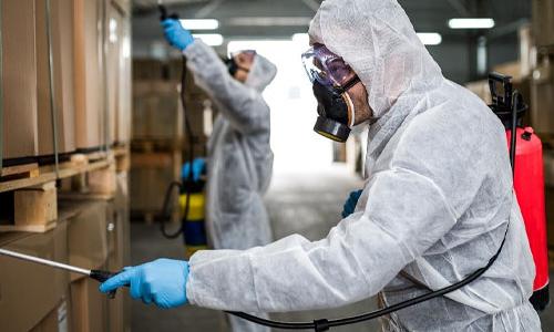 DEDETIZAÇÃO EM INDÚSTRIA