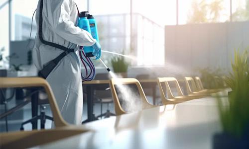 DEDETIZAÇÃO EM COMÉRCIO