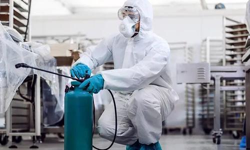 DEDETIZAÇÃO EM RESTAURANTE