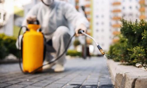 DEDETIZAÇÃO E SERVIÇOS ESSENCIAIS PARA CONDOMÍNIOS